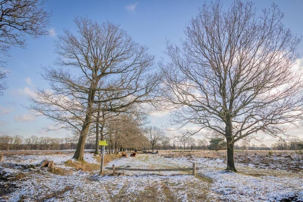 Вилла Leva - Logeren In Drenthe Doldersum Экстерьер фото